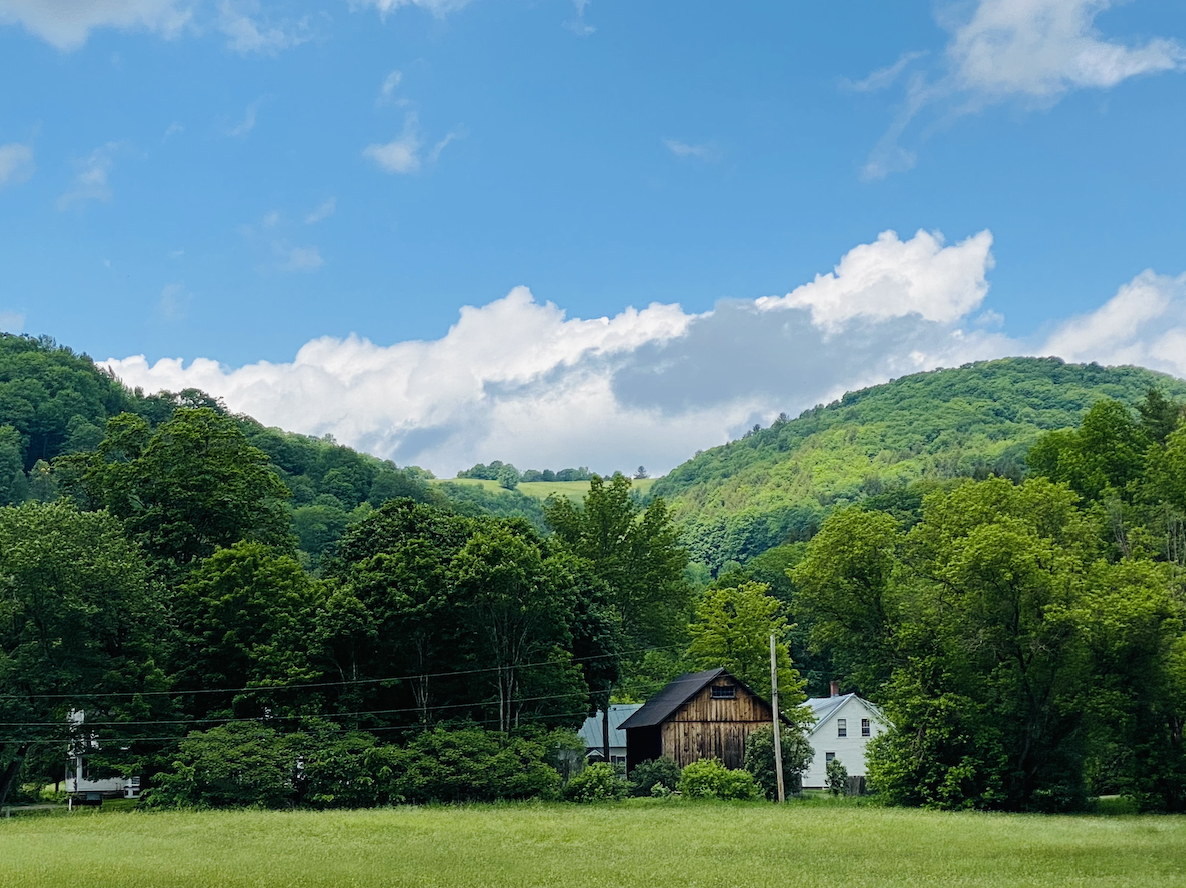 Some Buildings and a Hillside in Pomfret, Vermont