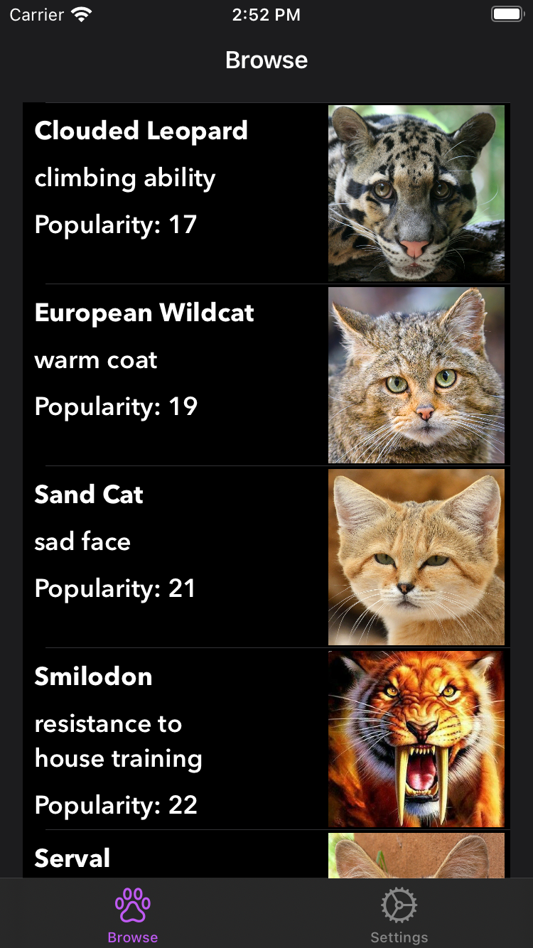 Some Breeds in CatFancy